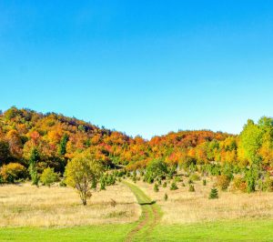 Bjelasnica, Bosnia and Herzegovina